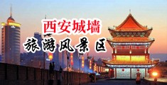 肏亚州妇女的骚屄中国陕西-西安城墙旅游风景区